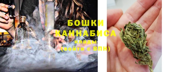 винт Пересвет