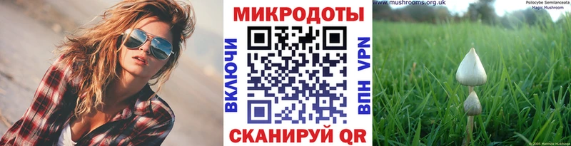 Псилоцибиновые грибы Psilocybe  купить наркотик  Барыш 